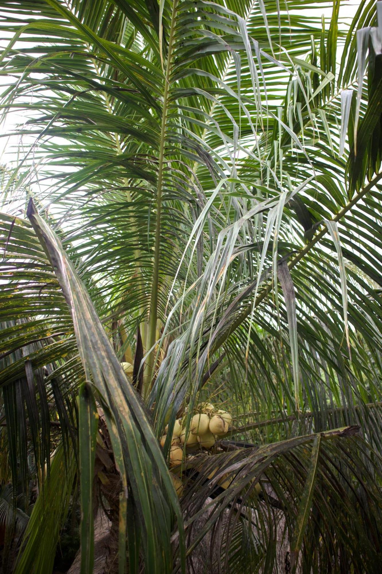 Isirela * Kuta (Lombok)